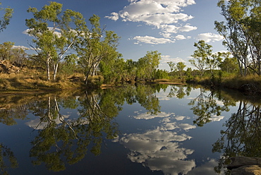 Gibb River at its crossing by the Kalumburu Road, off the Gibb River Road, The Kimberley, Western Australia, Australia, Pacific 