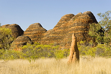 Sandstone hills and termite mounds in The Domes area of Purnululu National Park (Bungle Bungle), UNESCO World Heritage Site, Western Australia, Australia, Pacific 