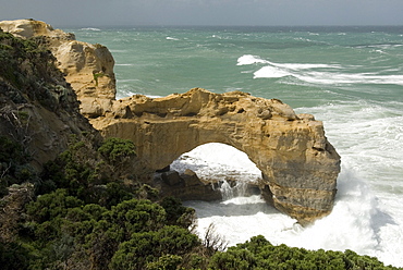 The Arch, in limestone cliff, Peterborough, Great Ocean Road, Victoria, Australia, Pacific 