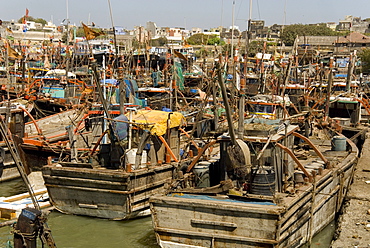 Fishing boat harbour, Porbander, Gujarat, India, Asia 