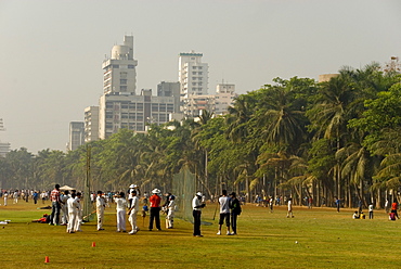 Cricket nets on the Oval Maidan green space, Mumbai, India, Asia 