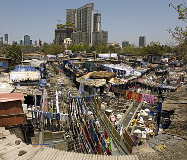 Dhobi Ghat, the main city laundries at Mahalaxmi, Mumbai, India, Asia 