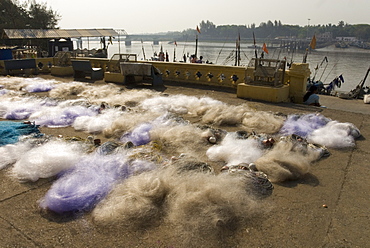 Drying the nets at the fishing harbour on the Daman Ganga River, Daman, Gujarat, India, Asia 