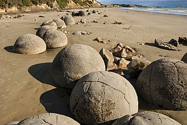 Septarian nodules washed out from cliff of Palaeocene clays, Moeraki Boulders, Dunedin, South Island, New Zealand, Pacific