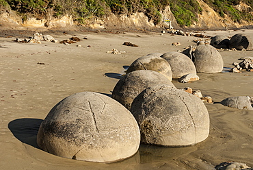 Septarian nodules washed out from cliff of Palaeocene clays, Moeraki Boulders, Dunedin, South Island, New Zealand, Pacific