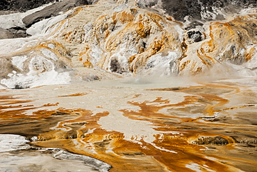 Sinter deposits at Orakei Koraka geothermal area, Rotorua, North Island, New Zealand, Pacific