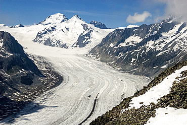 Aletsch Glacier and the Jungfrau, seen from Eggishorn, above Fiesch, Swiss Alps, Switzerland, Europe