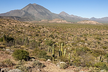 Volcan las Tres Virgenes, Santa Rosalia, Baja California, Mexico, North America