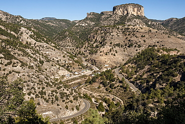 Volcanic plateau of Sierra Tarahumara, above Copper Canyon, Chihuahua, Mexico, North America