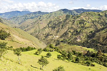 Southern highlands near Saraguro, Ecuador, South America