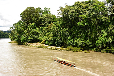 Misahualli in The Oriente, head of navigation on Rio Napo (Amazon), Ecuador, South America