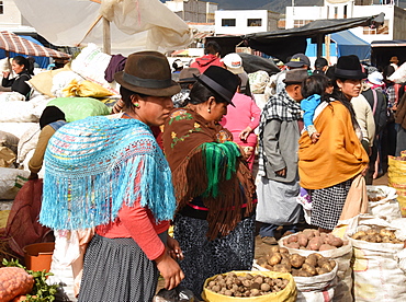 Thursday markets, Saquisili, Ecuador, South America