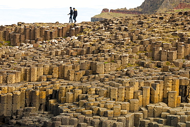 Columnar basalt lava at Giant's Causeway, UNESCO World Heritage Site, County Antrim, Northern Ireland, United Kingdom, Europe