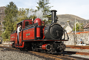 Steam engine, Ffestiniog Railway, Gwynedd, North Wales, Wales, United Kingdom, Europe