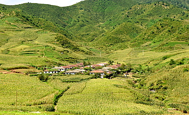 Village amid corn fields near Chongjin, Hamgyong Province, North Korea, Asia