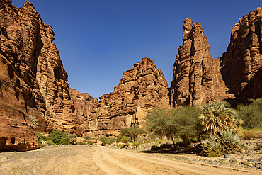 Wadi Disah (Wadi Qaraqir), sandstone canyon near Tabuk, North West Saudi Arabia, Middle East