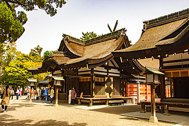 Sumiyoshi Taisha Shinto shrine, Osaka, Japan