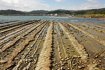 Aoshima shrine, S E Kyushu, Japan; sandstone ribs on forshore known as Devil's Washboard.