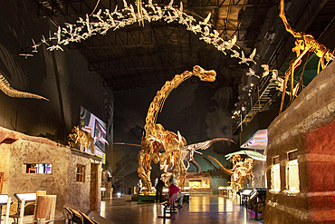 Museum of Paleontology Egidio Feruglio, Trelew, Patagonia, Argentina