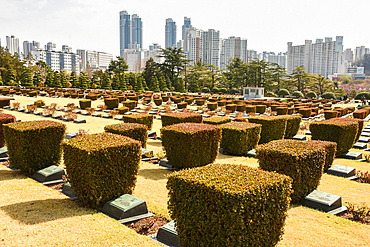 Busan, Korea, United Nations Memorial Cemetery