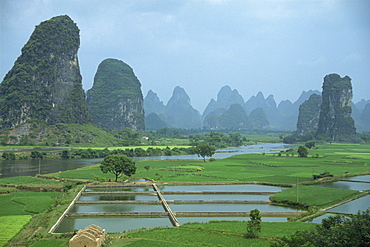 Landscape of rice paddies, fish farms and limestone pinnacles in the Fenglin Karst south of Guilin, Yangshuo, Guangxi, China, Asia