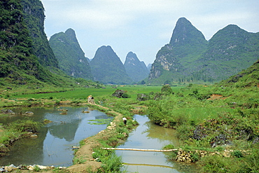 In Guilin, irrigation channel among rice paddies in area of limestone towers, Yangshuo, Guangxi Province, China