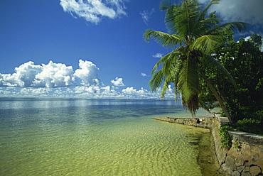 Coast, Seychelles, Indian Ocean, Africa