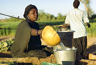 Woman collecting water, Niger, Africa