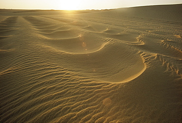 Sahara Desert, Niger, Africa