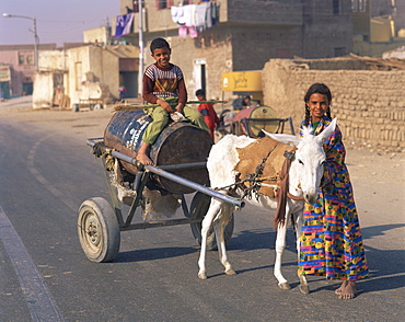 Portrait of children fetching water on a donkey cart, Luxor, Thebes, Egypt, North Africa, Africa