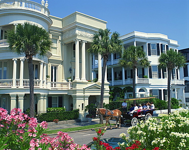 Tourists in horse drawn vehicle, viewing large houses in East Battery, Charleston, South Carolina, United States of America, North America