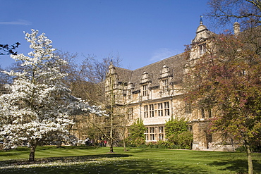 Trinity College, Oxford, Oxfordshire, England, United Kingdom, Europe