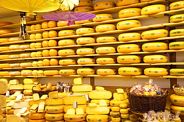 Cheese shop, Alkmaar, Holland, Europe