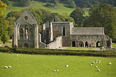 Valle Crucis Abbey, Llantisilio, Llangollen, Denbighshire, Wales, United Kingdom, Europe