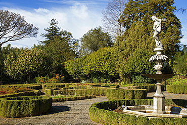 Malakoff Garden, part of Imperador Gardens, Funchal, Madeira, Portugal, Europe