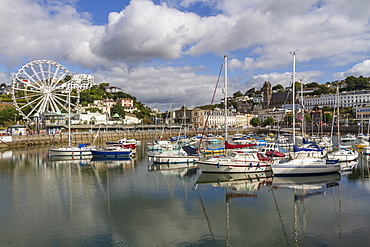 Harbour, Torquay, Devon. England, United Kingdom, Europe