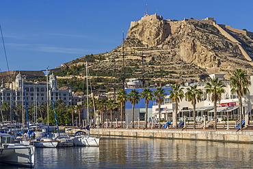 Marina and Castle, Alicante, Spain, Mediterranean, Europe