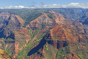 Waimea Canyon, Kauai, Hawaii, United States of America, Pacific