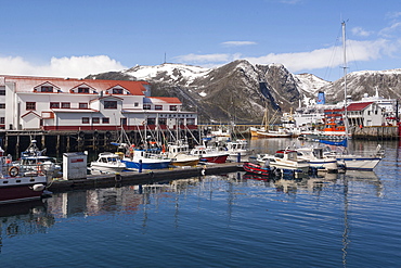 Brygge, Honningsvag, Finnmark, Norway, Scandinavia, Europe