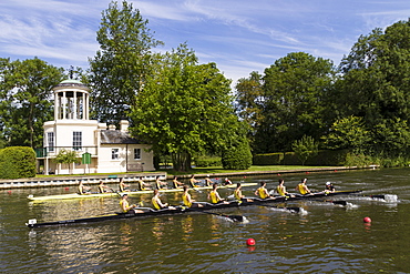 Two Rowing Eights pass Temple Island, Henley Royal Regatta, Oxfordshire, England, United Kingdom, Europe