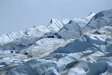 Tourists trekking on Moreno Glacier, Los Glaciares National Park, UNESCO World Heritage Site, Argentina, South America