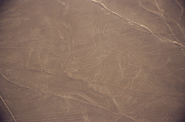 Monkey, Nazca (Nasca) Lines, UNESCO World Heritage Site, Peru, South America