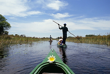 Tourists in dug out canoe (mokoro), Okavango Delta, Botswana, Africa