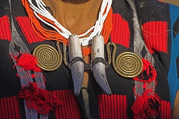 Tiger teeth necklace, Naga New Year Festival, Lahe village, Sagaing Division, Myanmar (Burma), Asia