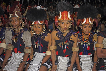 Naga men at Grand Finale (tribal dancing) in headdresses of woven cane decorated with wild boar teeth and bear fur topped with a hornbill feather, with tiger claw straps, wearing tiger teeth necklaces, heirloom ivory armbands and aprons decoratated with cowrie shells, Lahe village, Naga New Year Festival, Sagaing Division, Myanmar (Burma), Asia