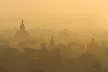 View of temples from Shwesandaw Paya at sunrise, old Bagan (Pagan), Myanmar (Burma), Asia