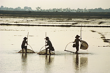 Silhouettes of three fishermen in flooded fields in Vietnam, Indochina, Southeast Asia, Asia