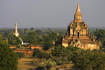 View of ancient temples from Dhammayazika Paya, Pwasaw, Bagan (Pagan), Myanmar (Burma), Asia