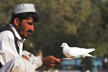 Man feeding the famous white pigeons, Shrine of Hazrat Ali, Mazar-I-Sharif, Balkh province, Afghanistan, Asia