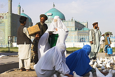 Family feeding the famous white pigeons, Shrine of Hazrat Ali, Mazar-I-Sharif, Balkh province, Afghanistan, Asia